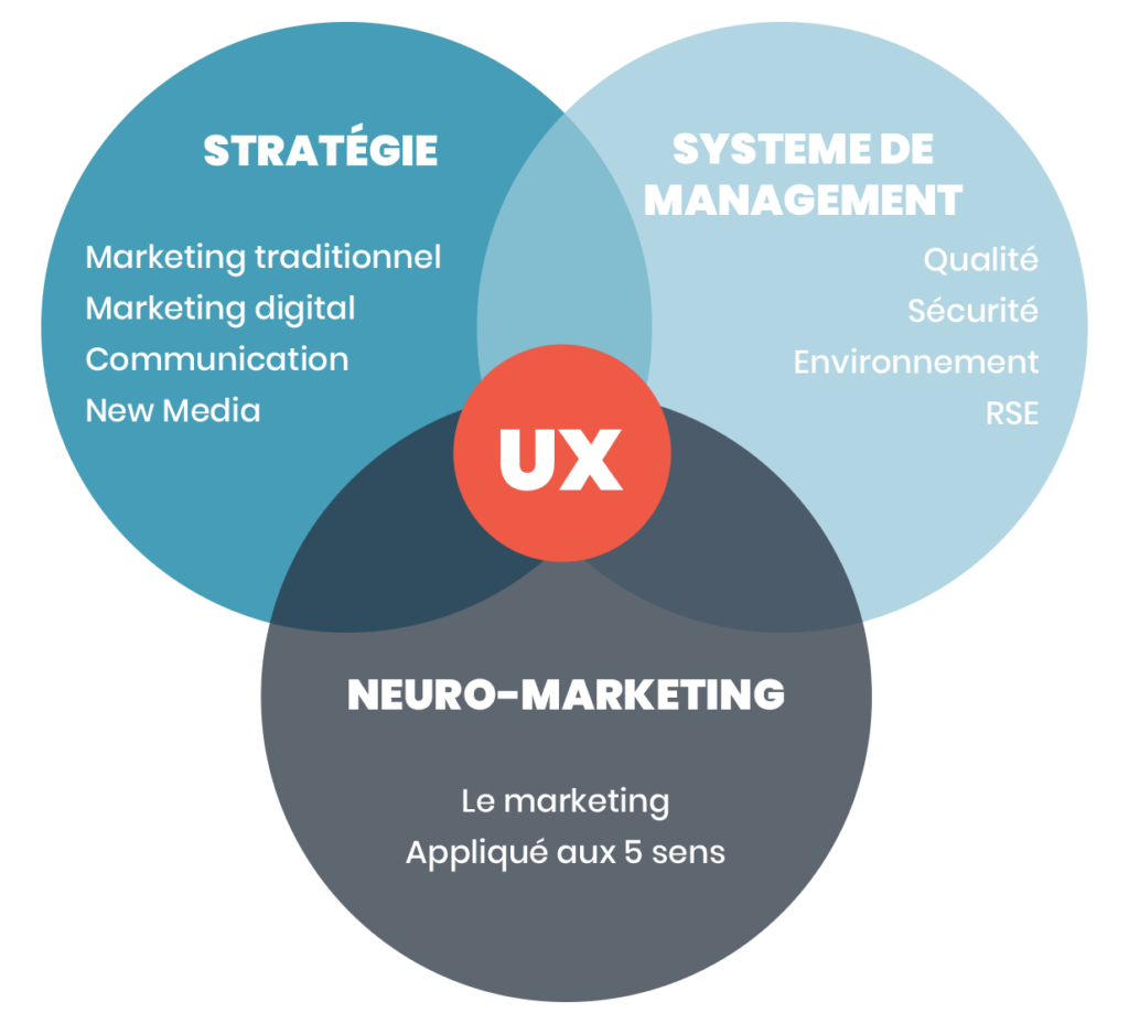 Minds Up - Services UX