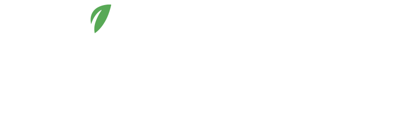 Minds Up - Agence de communication et digital marketing éco-responsable